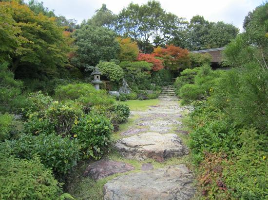 トリップアドバイザー提供