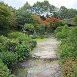 トリップアドバイザー提供