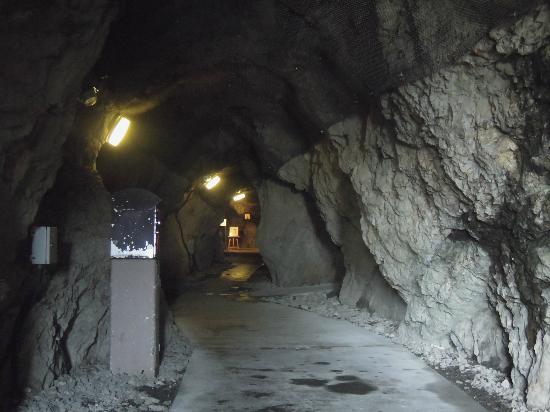 トリップアドバイザー提供