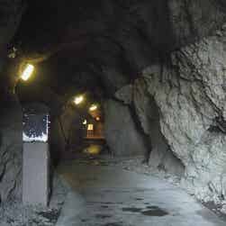 トリップアドバイザー提供