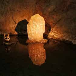 トリップアドバイザー提供