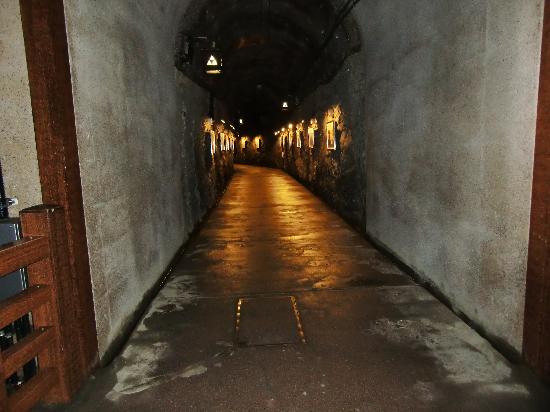 トリップアドバイザー提供