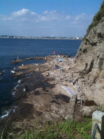 トリップアドバイザー提供