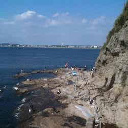 トリップアドバイザー提供