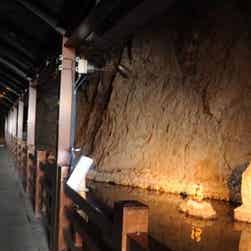 トリップアドバイザー提供