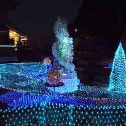 トリップアドバイザー提供