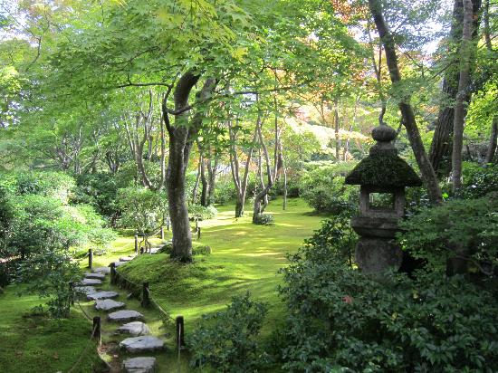 トリップアドバイザー提供