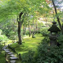 トリップアドバイザー提供