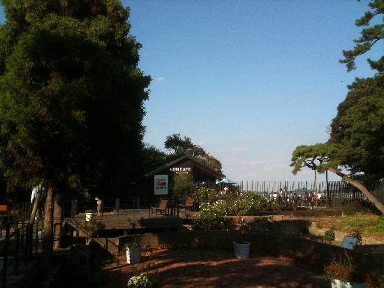 トリップアドバイザー提供