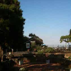 トリップアドバイザー提供