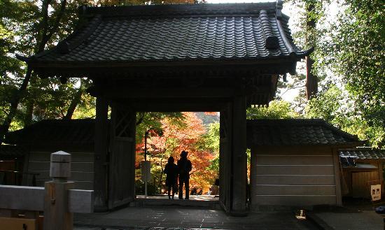 トリップアドバイザー提供