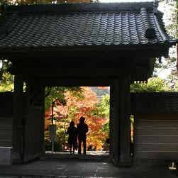 トリップアドバイザー提供