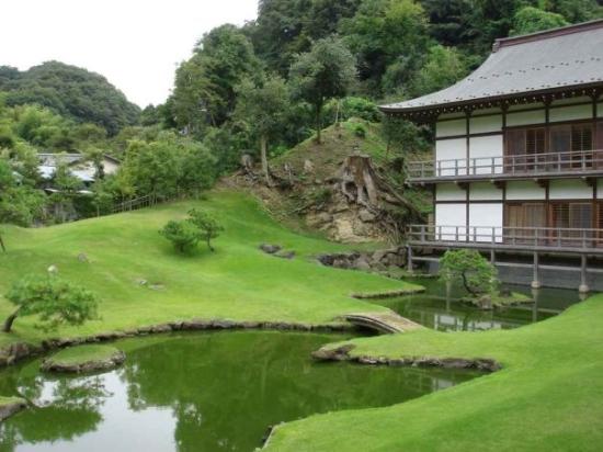 トリップアドバイザー提供