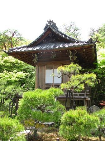 トリップアドバイザー提供