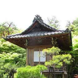 トリップアドバイザー提供