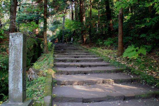 トリップアドバイザー提供