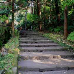 トリップアドバイザー提供