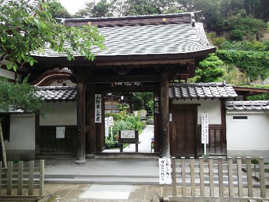 トリップアドバイザー提供