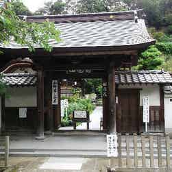 トリップアドバイザー提供