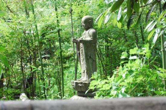 トリップアドバイザー提供