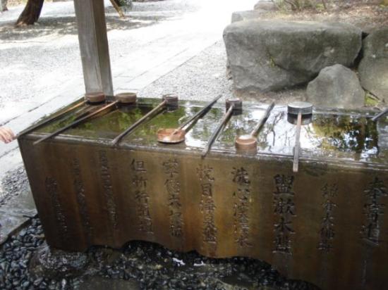 トリップアドバイザー提供