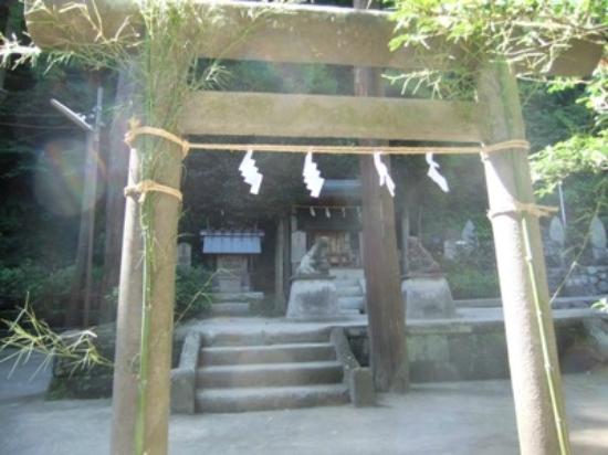 トリップアドバイザー提供