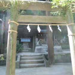 トリップアドバイザー提供