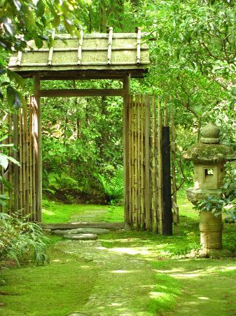 トリップアドバイザー提供