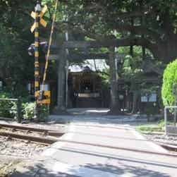 トリップアドバイザー提供