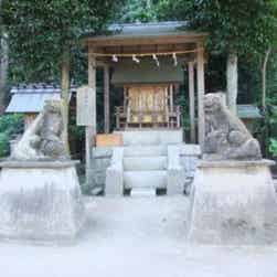 トリップアドバイザー提供