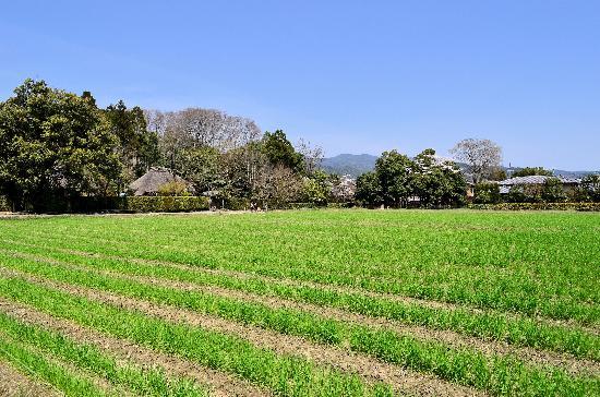 トリップアドバイザー提供