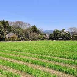 トリップアドバイザー提供