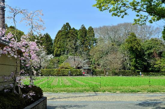 トリップアドバイザー提供