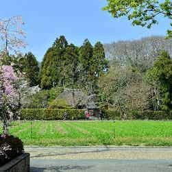 トリップアドバイザー提供