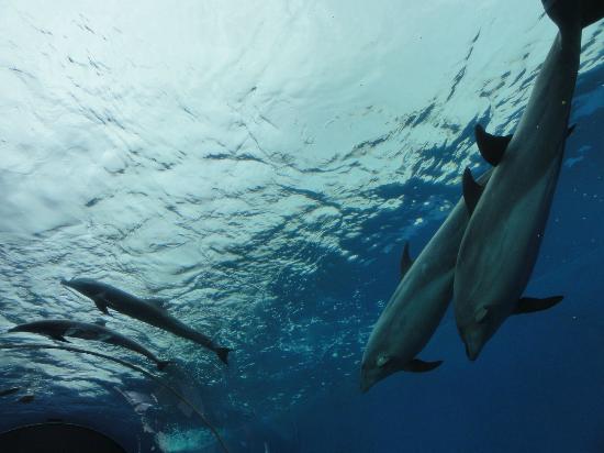 トリップアドバイザー提供
