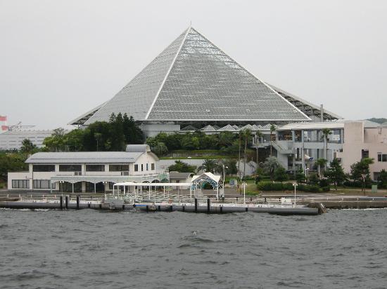 トリップアドバイザー提供