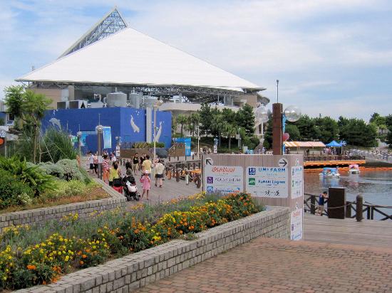 トリップアドバイザー提供