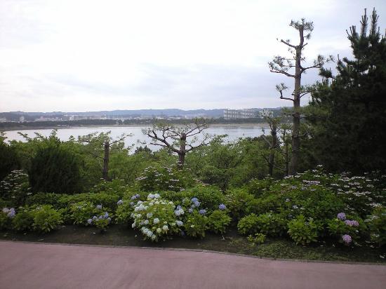 トリップアドバイザー提供