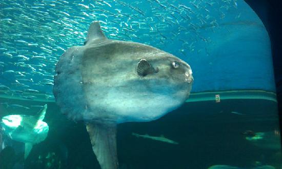 トリップアドバイザー提供