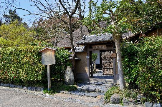 トリップアドバイザー提供