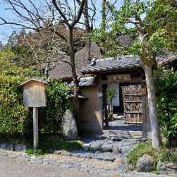 トリップアドバイザー提供