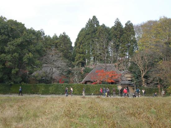 トリップアドバイザー提供