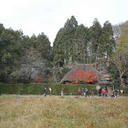 トリップアドバイザー提供