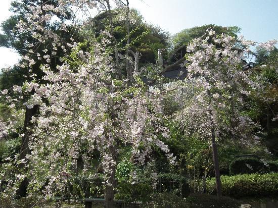 トリップアドバイザー提供