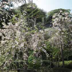 トリップアドバイザー提供