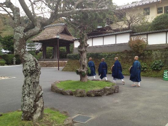 トリップアドバイザー提供