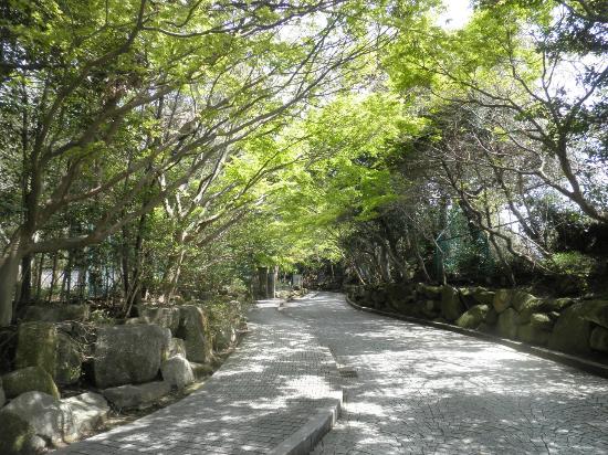 トリップアドバイザー提供