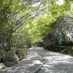 トリップアドバイザー提供