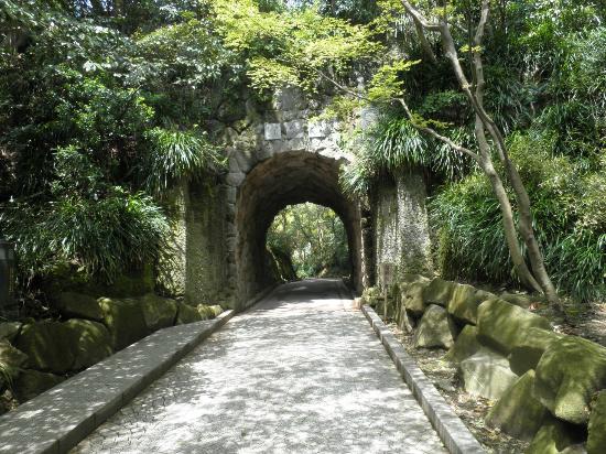 トリップアドバイザー提供