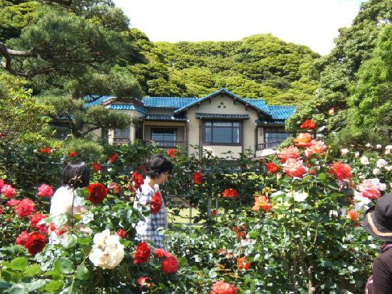 トリップアドバイザー提供